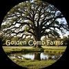 goldencombfarms